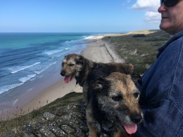 The Boys and Kaz checking out the beaches at Carteret.