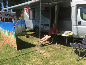 Dog Break not wind break